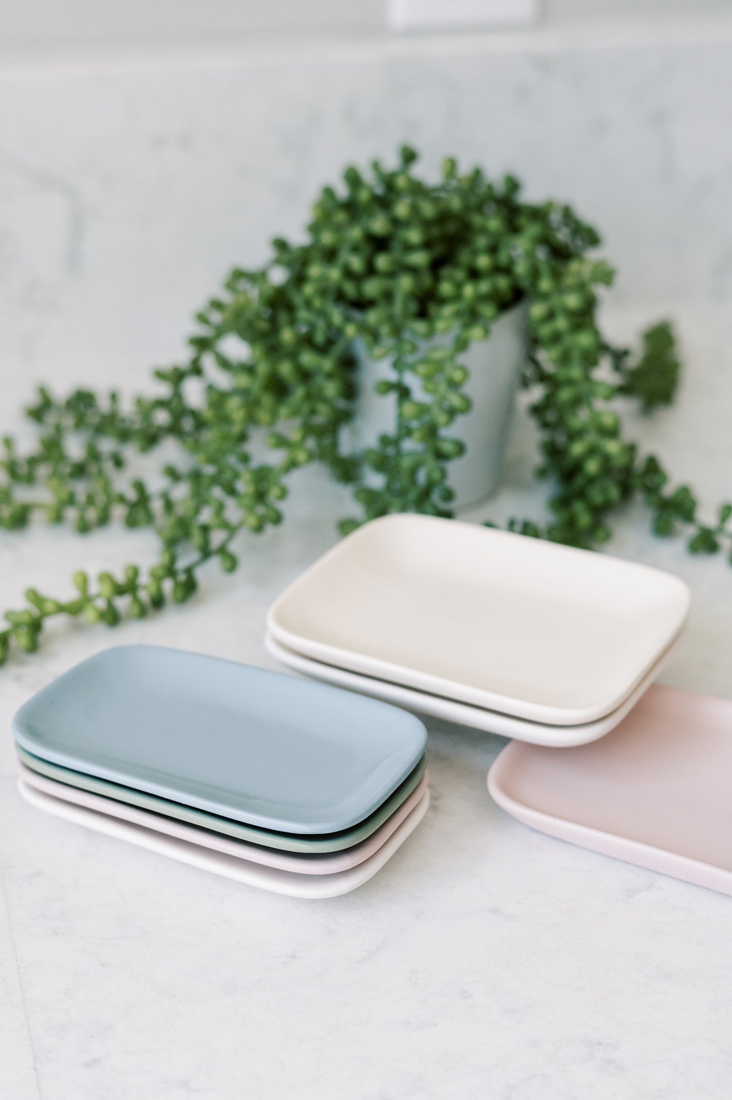 Rectangle Ring Catchall Dish